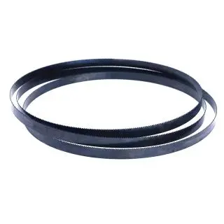 Lame ruban Flexback longueur 1425, épaisseur 0.4 mm largeur 10 mm